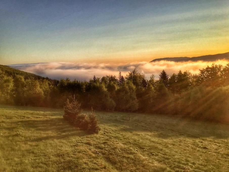Domek Gorski Na Polanie Goryczkowej 700 M Npm - Szczyrk Dojazd Samochodem Terenowym, W Zimie Utrudniony - Wymagane Lancuchy Exterior foto