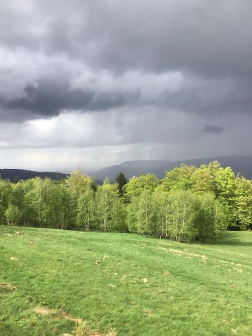 Domek Gorski Na Polanie Goryczkowej 700 M Npm - Szczyrk Dojazd Samochodem Terenowym, W Zimie Utrudniony - Wymagane Lancuchy Exterior foto